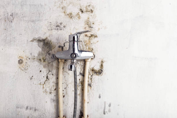 Best Emergency Mold Remediation in Mechanicsburg, OH