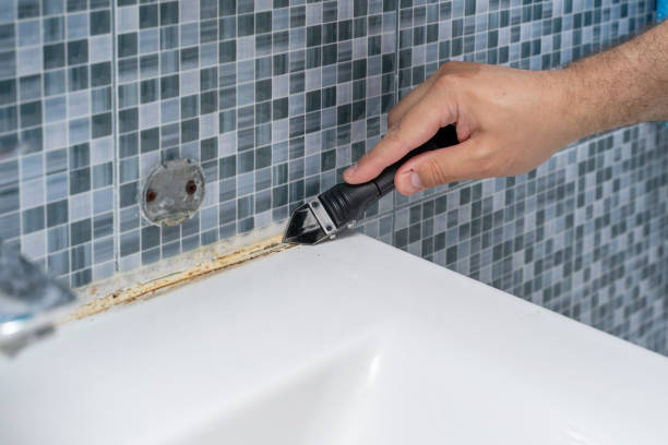 Best Black Mold Remediation in Mechanicsburg, OH