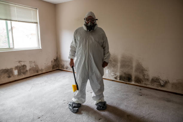 Best Industrial Mold Remediation in Mechanicsburg, OH